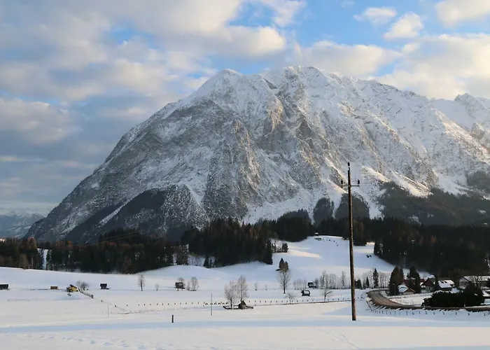 Weideblick