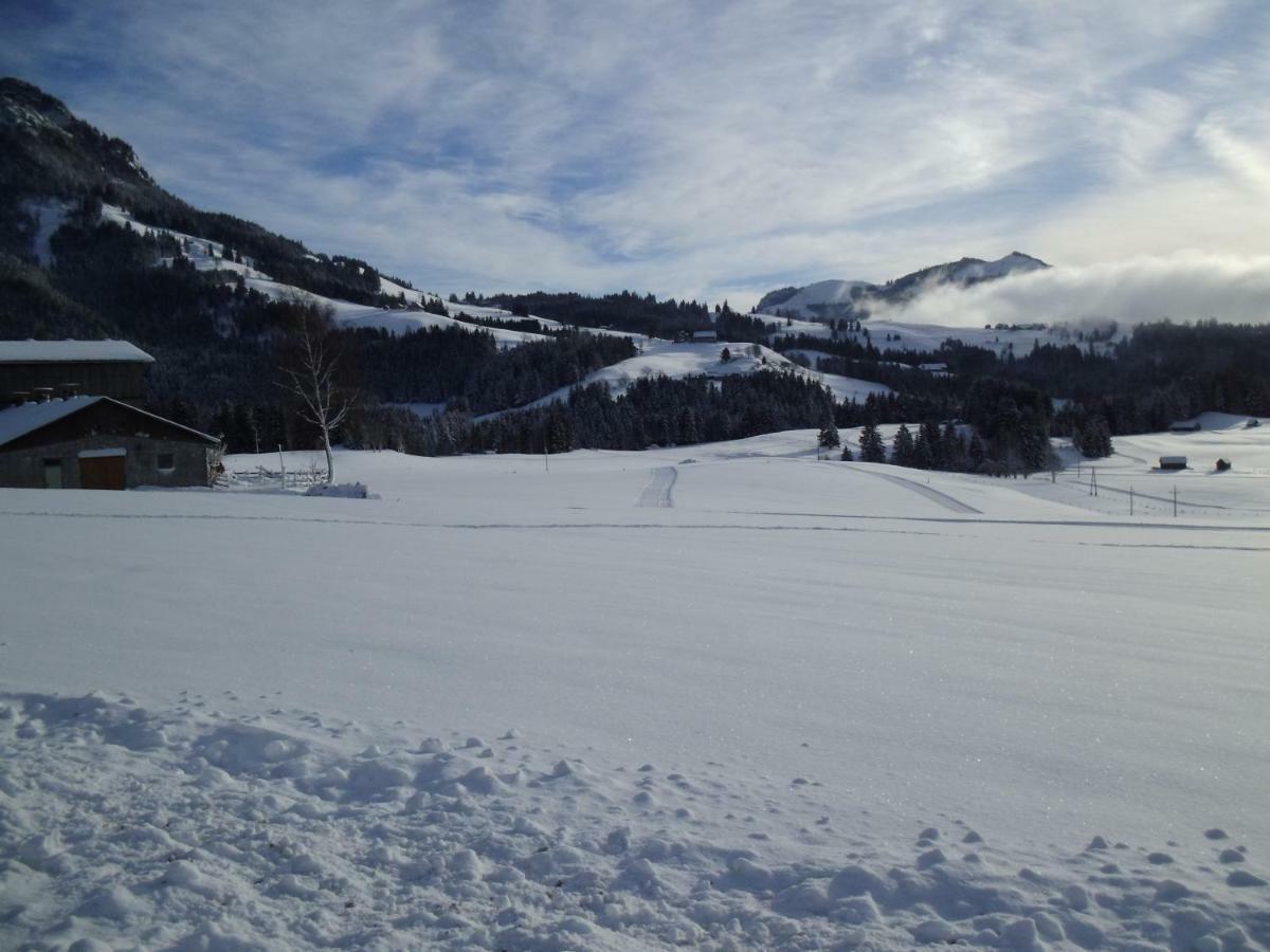 Weideblick