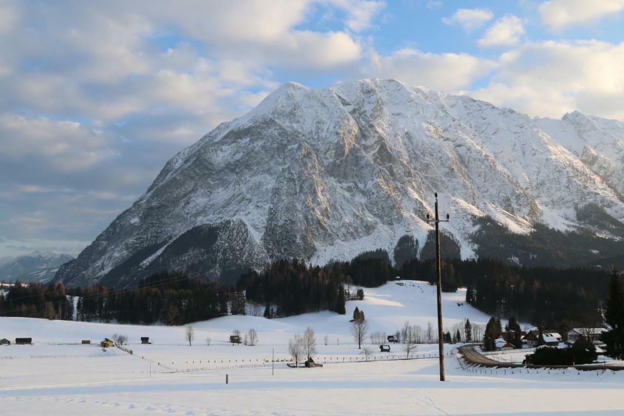 Weideblick *