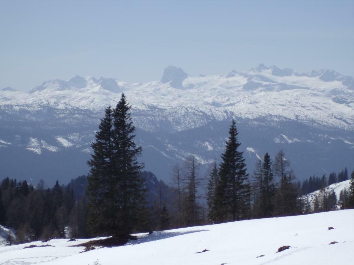 Weideblick * Tauplitz