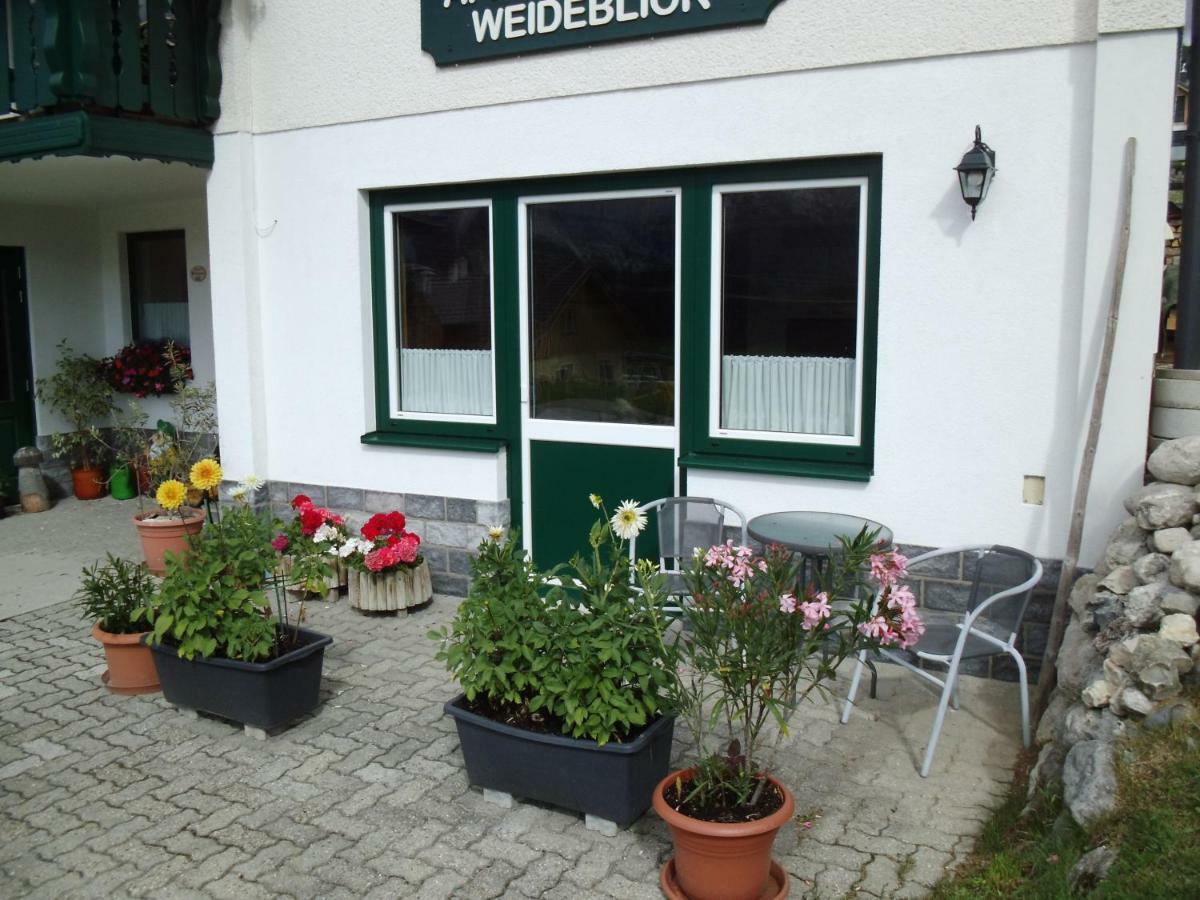 Weideblick Tauplitz