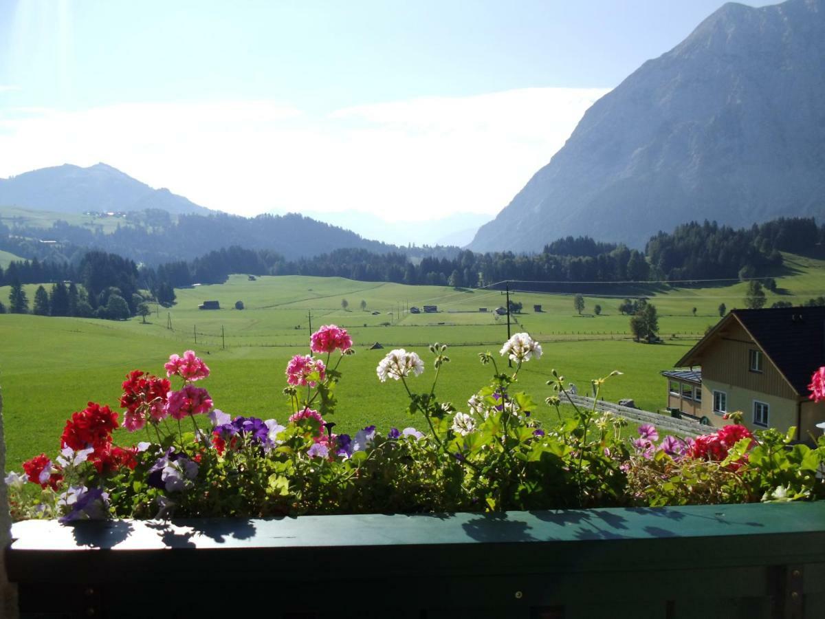 Apartment Weideblick *
